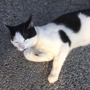 Meet your Posher, Aine